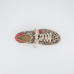 Pauls 5464-137