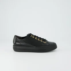 Pauls 4081-598