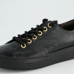 Pauls 4081-598