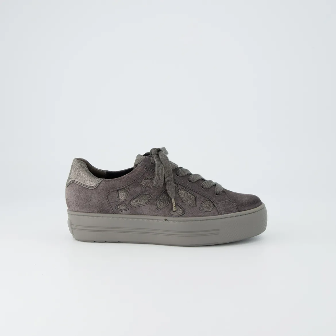 Pauls 5479-008