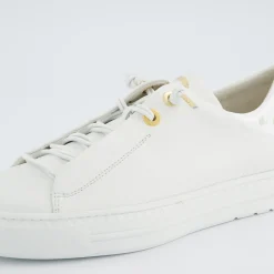 Pauls 5476-048