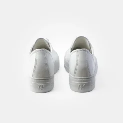 Pauls 4790-158