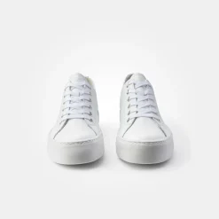 Pauls 4790-158