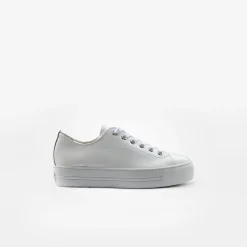 Pauls 4790-158