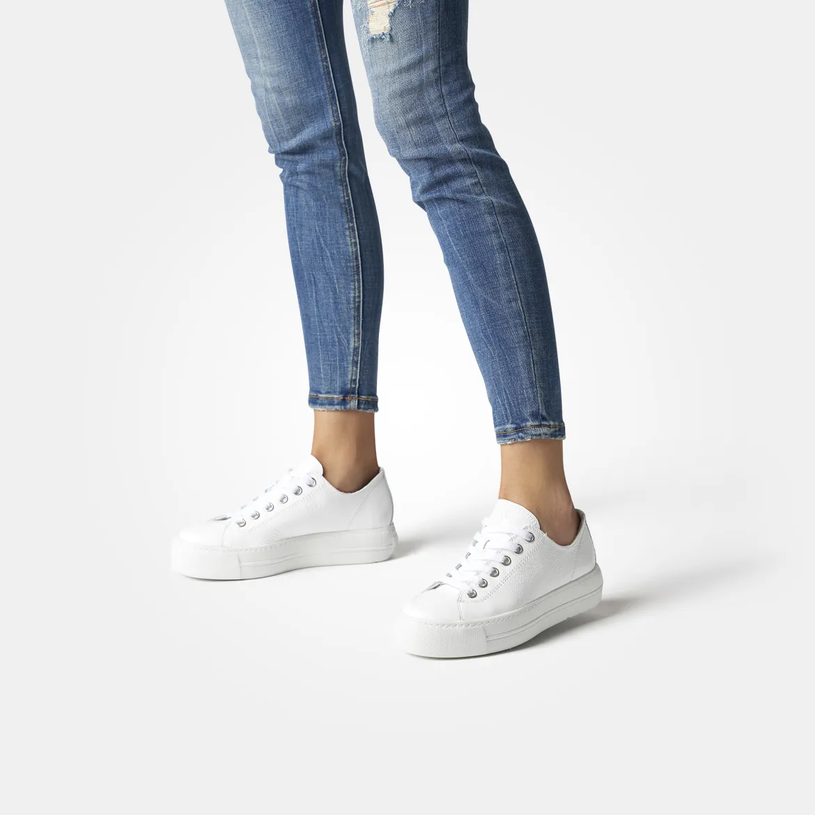 Pauls 4790-158