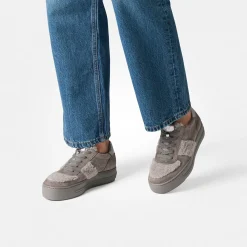 Pauls 5487-008