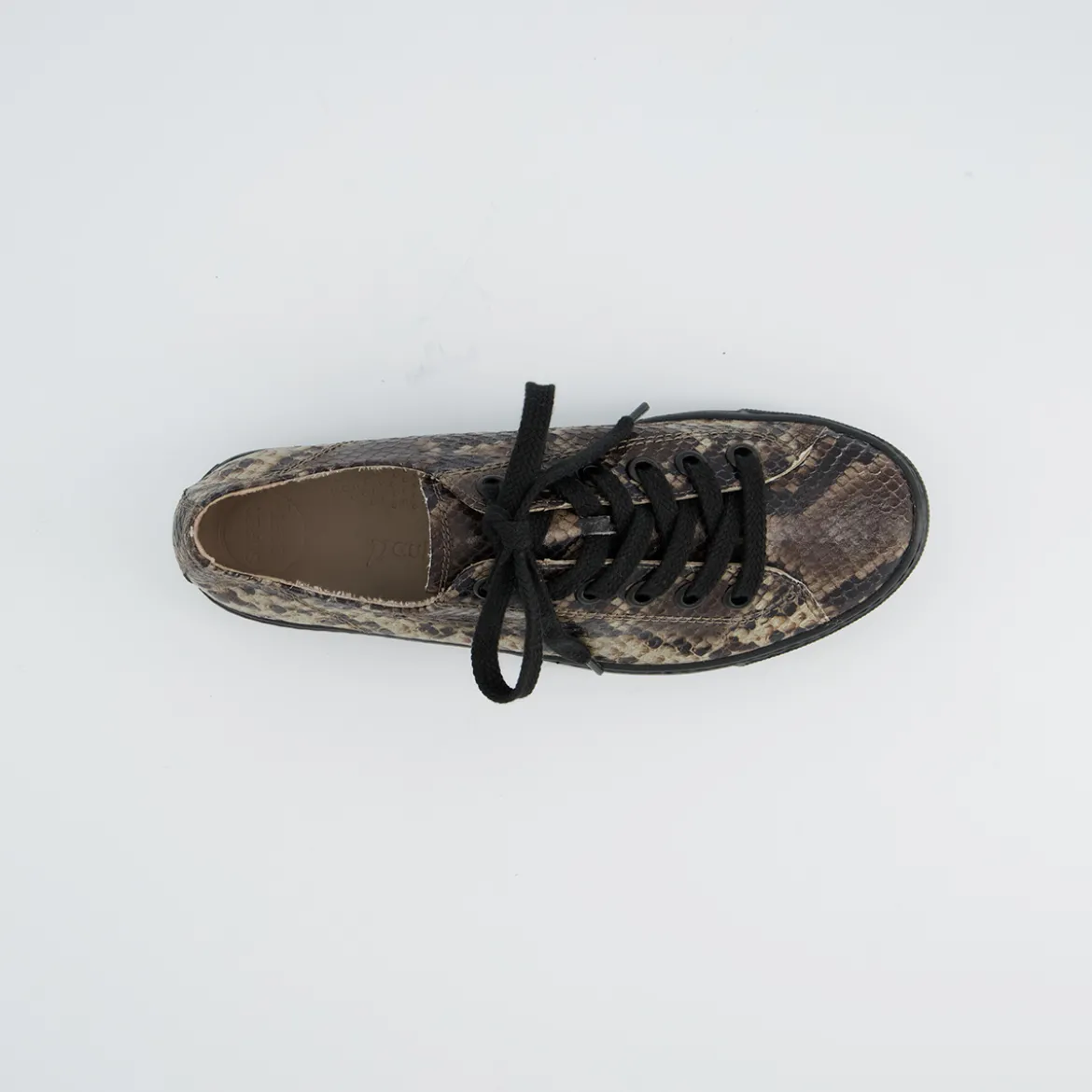 Pauls 4790-818