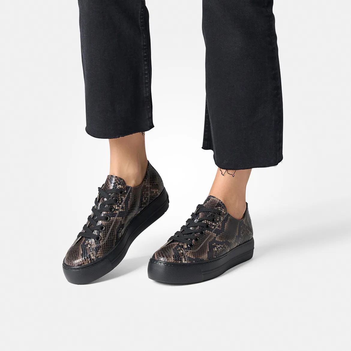 Pauls 4790-818