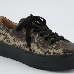 Pauls 4790-818