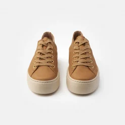 Pauls 4790-736