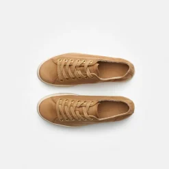 Pauls 4790-736