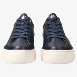 Pauls 5241-066