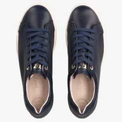 Pauls 5241-066