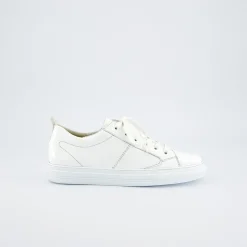Pauls 5416-057