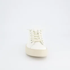 Pauls 4081-567