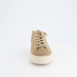 Pauls 4081-557
