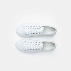 Pauls 5704-018
