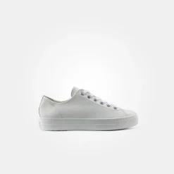 Pauls 5704-018