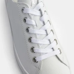 Pauls 5704-018