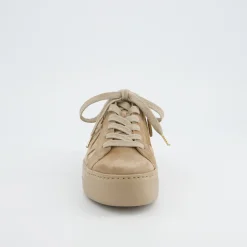 Pauls 5479-018