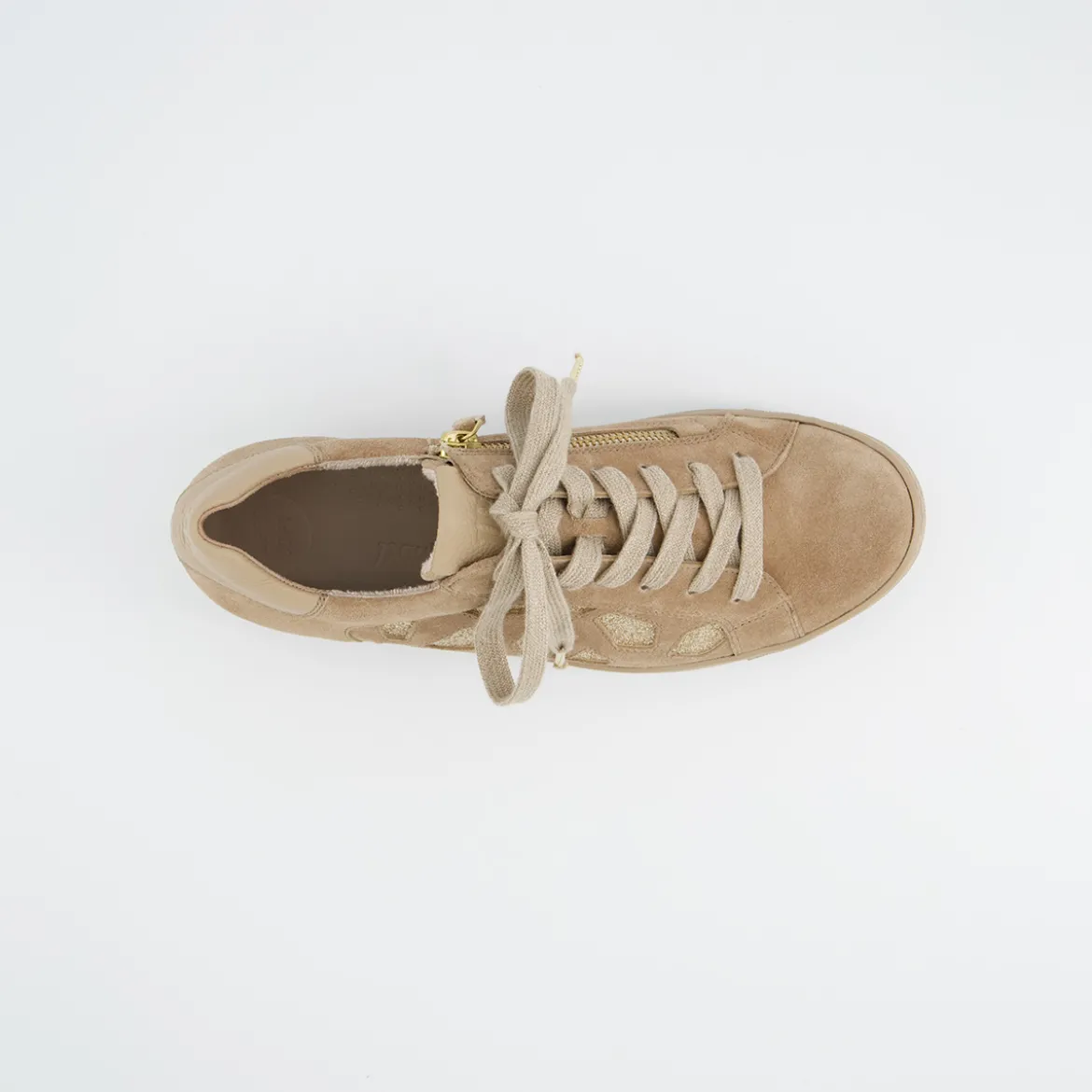 Pauls 5479-018