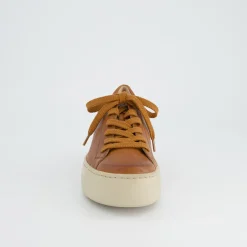 Pauls 5241-138