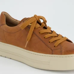Pauls 5241-138