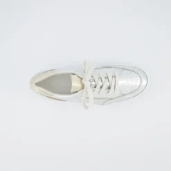 Pauls 5427-037