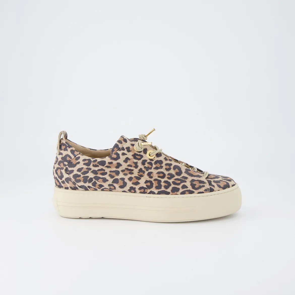 Pauls 5317-047