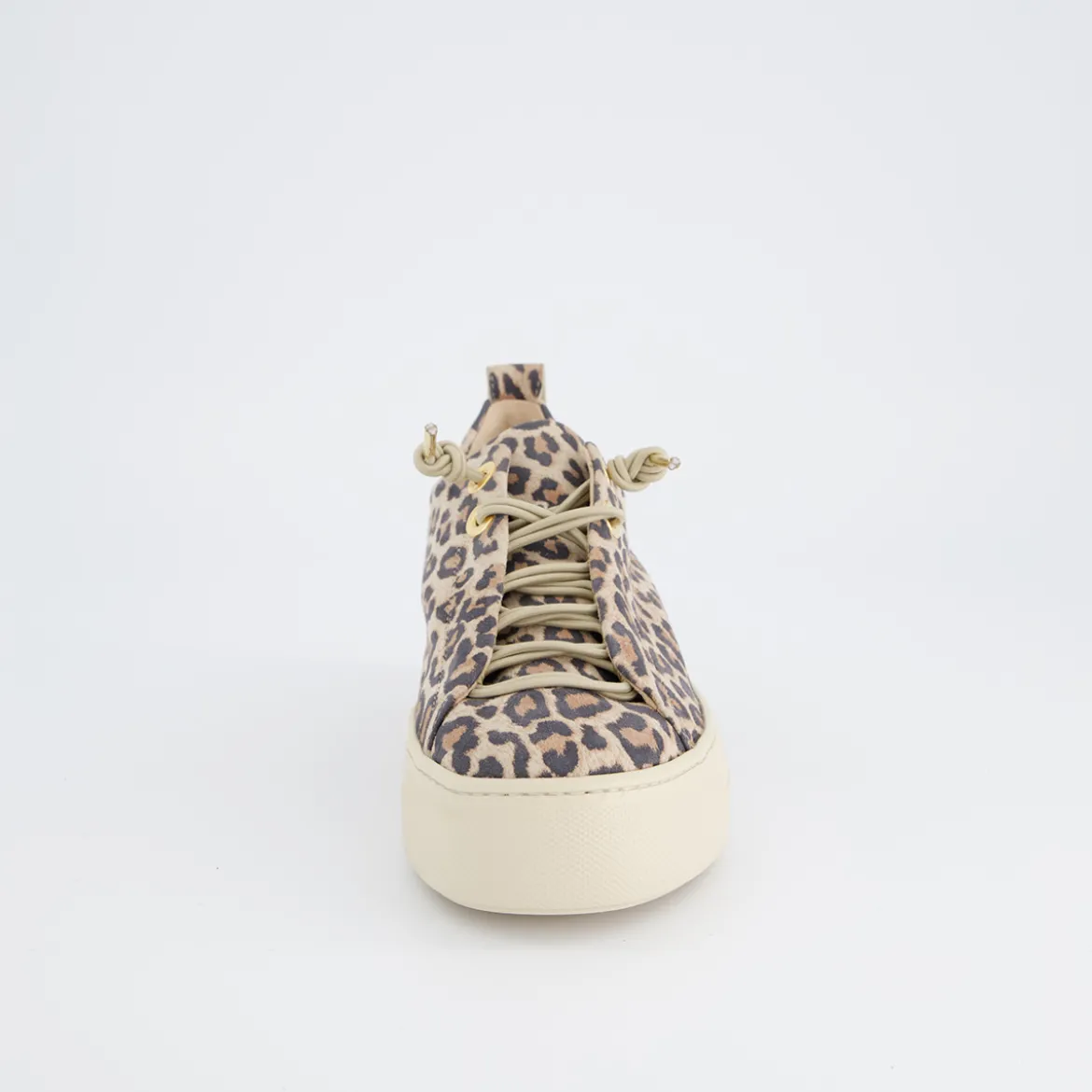 Pauls 5317-047