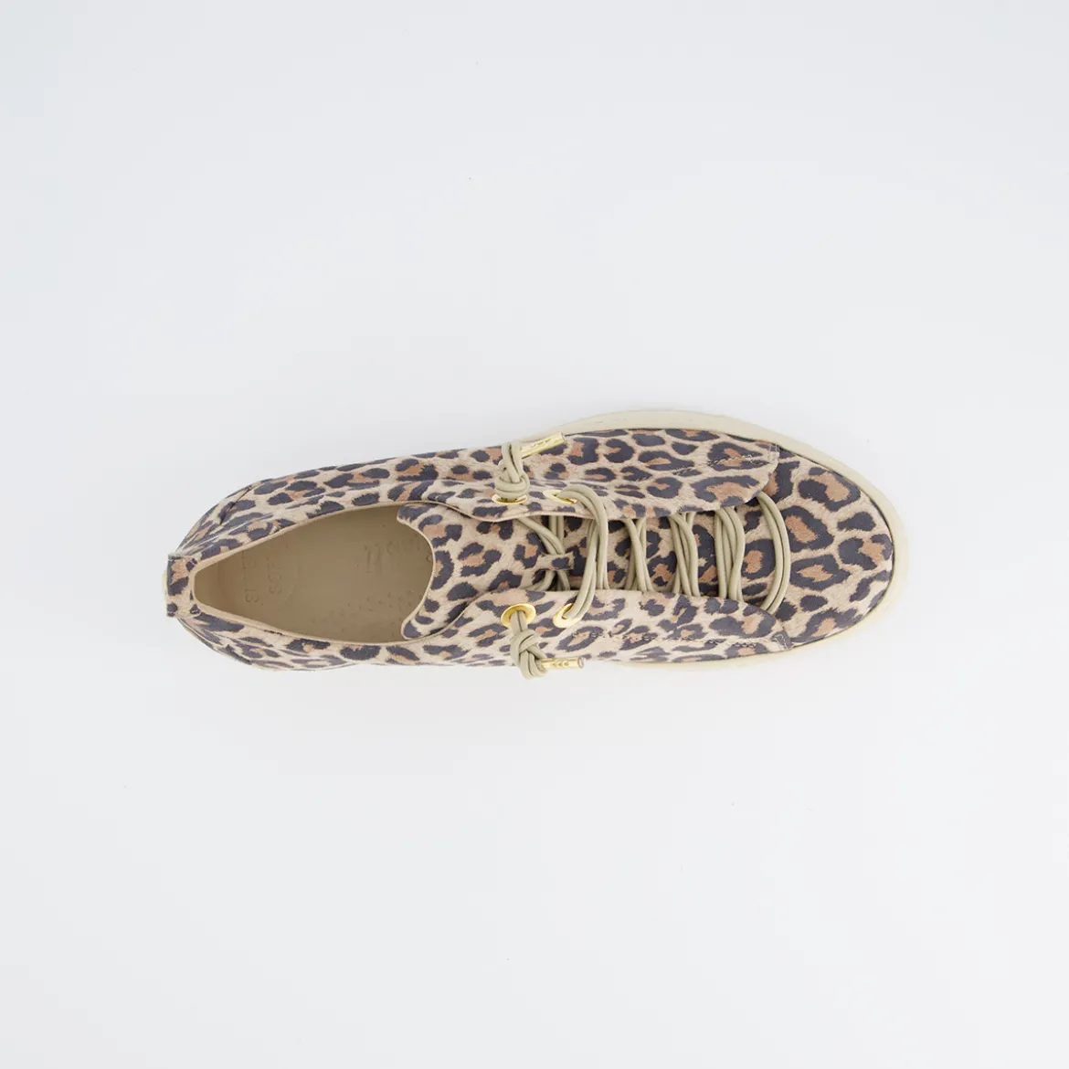 Pauls 5317-047