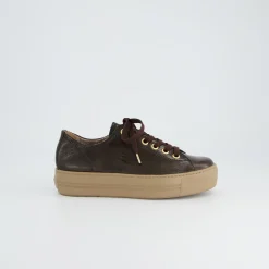 Pauls 4790-778