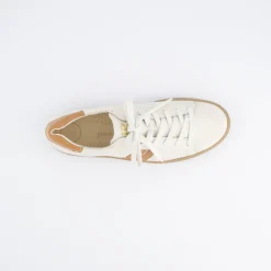 Pauls 5464-057