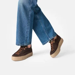 Pauls 5017-440
