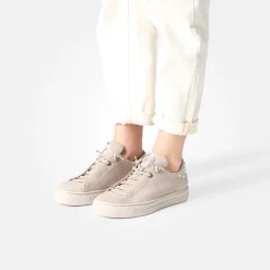 Pauls 5476-018