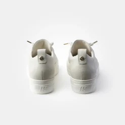 Pauls 5017-068
