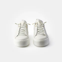 Pauls 5017-068
