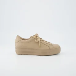 Pauls 5241-118