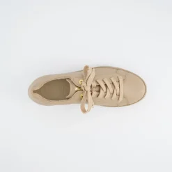 Pauls 5241-118