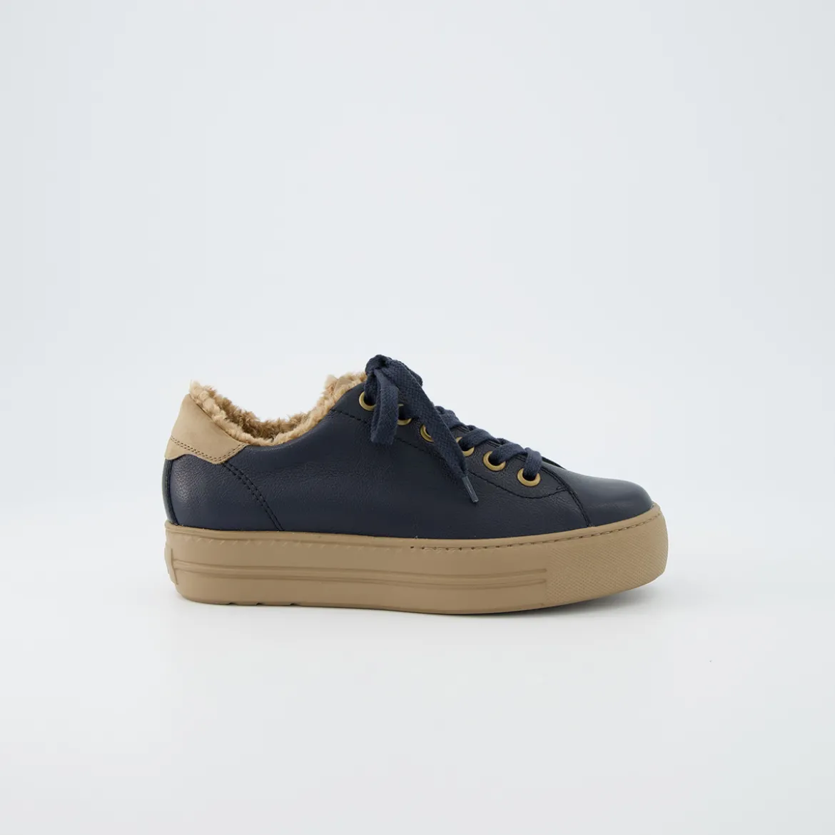 Pauls 5171-058
