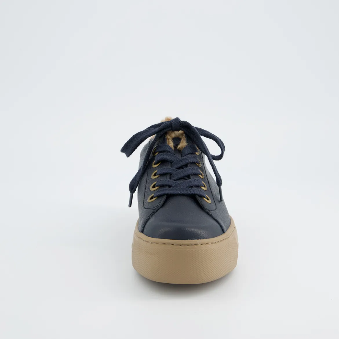 Pauls 5171-058
