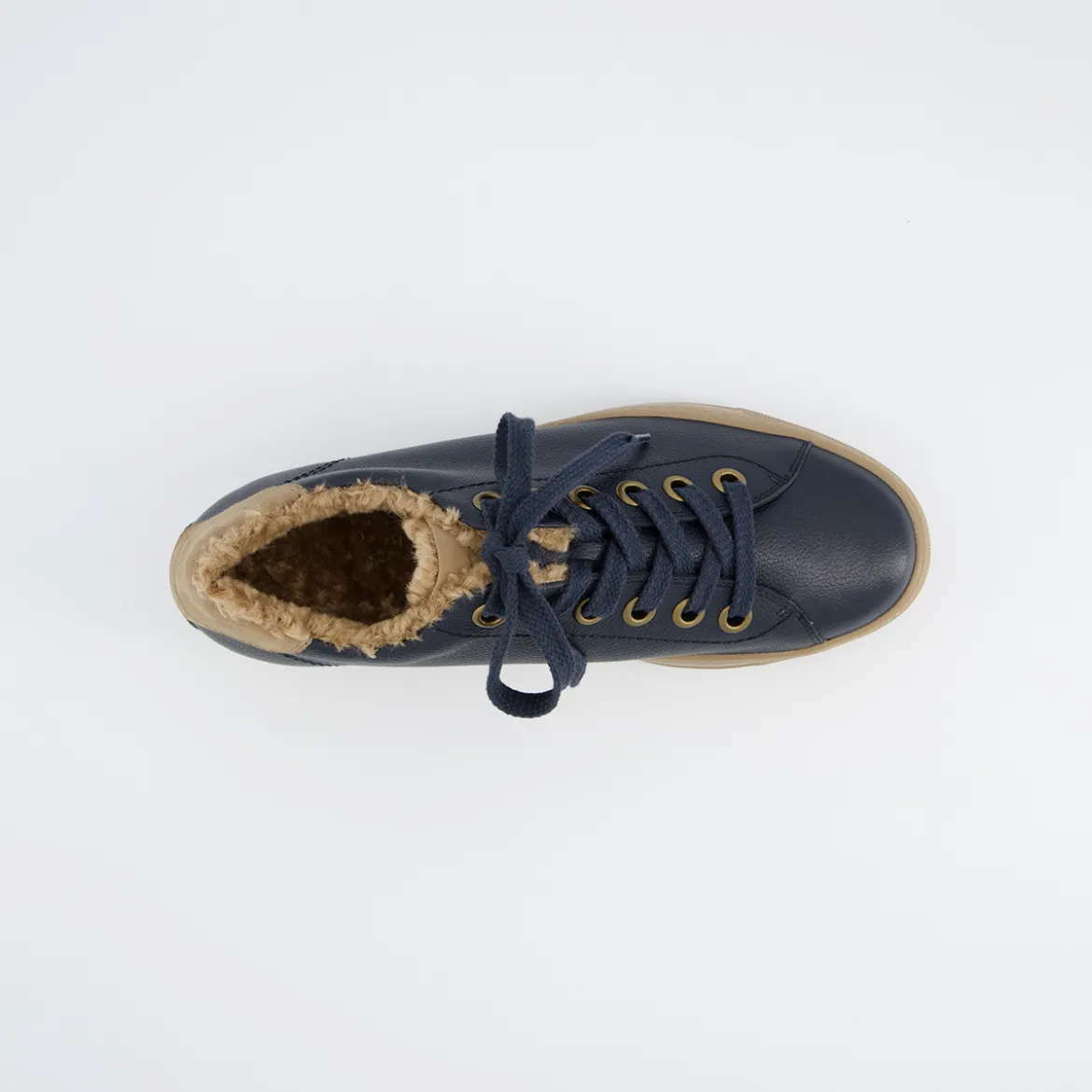 Pauls 5171-058