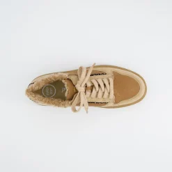 Pauls 5369-058