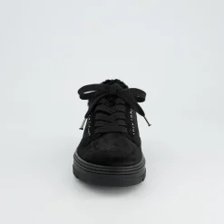 Pauls 5369-068
