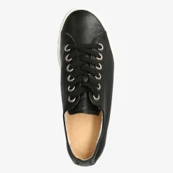 Pauls 4704-220