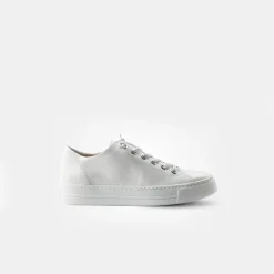 Pauls 4081-060