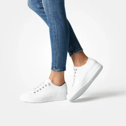 Pauls 4081-060