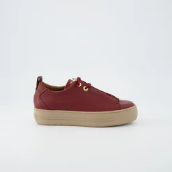 Pauls 5017-430