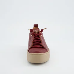 Pauls 5017-430