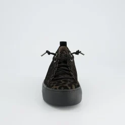 Pauls 5417-098